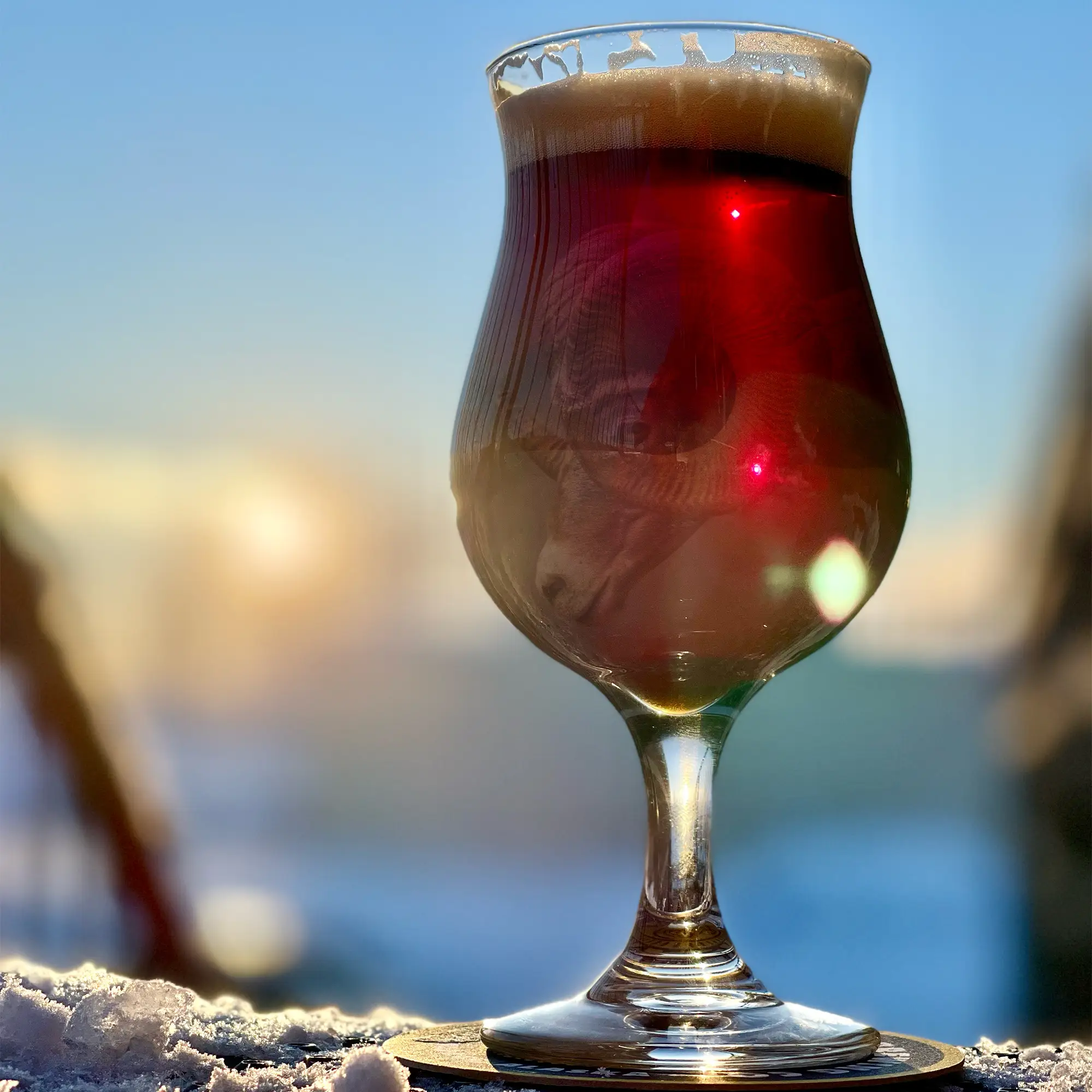 2022-MSBC-Cover-Web Beer Pictures_0027_Full Curl 1-28